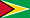 Flag of Guyana